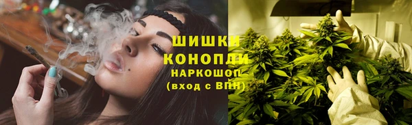 PSILOCYBIN Богородск